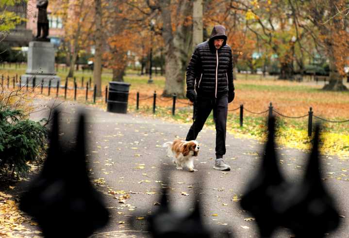 Here's what Boston meteorologists are saying about the forecast for Thanksgiving