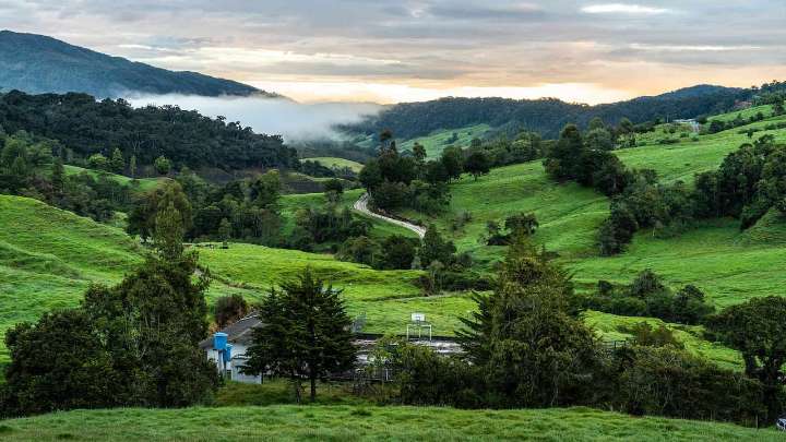 El mejor clima en el Valle del Cauca: 6 pueblos recomendados por inteligencia artificial