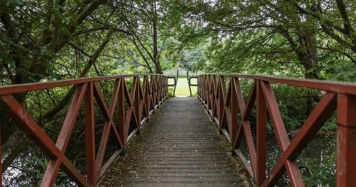 The Greater Manchester walking trails with ‘hidden gems’ waiting to be discovered
