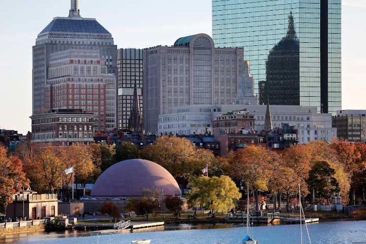 Alligator spotted near Charles River in Boston caught by exotic animal expert