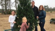 These Alabama Christmas tree farms will be open for 2025