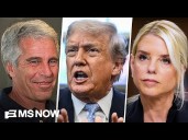 Weissmann: Pam Bondi 'notably silent' on Trump questions on Epstein Files
