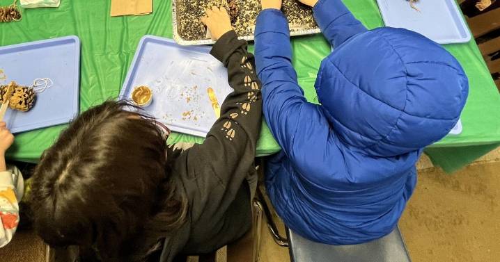 Chirping in for a songbird's Thanksgiving meal