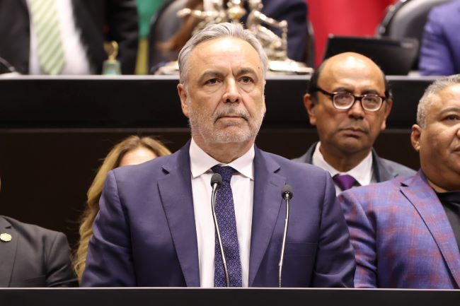 Proponen unir elecciones intermedias y revocación de mandato para ahorrar recursos.