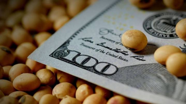 El salto de la soja reaviva el debate por el carry trade en el agro