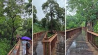 Malabar Hill Nature Trail Emerges as Mumbai’s Top Monsoon Destination With Nearly 3 Lakh Visitors