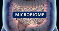 The Hype and Limits of At-Home Gut Microbiome Tests