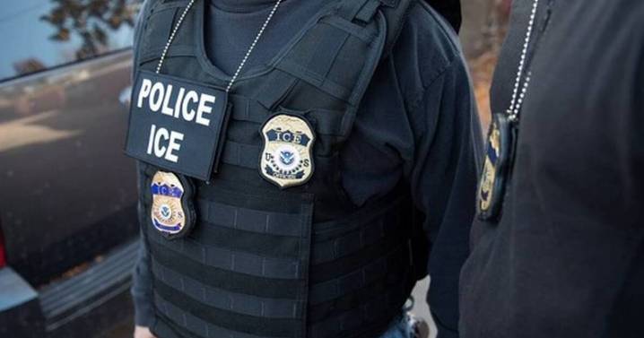 ICE lauds Florida immigration operation netting 230 arrests