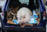 Portland responders find home for  homeless veteran’s 250