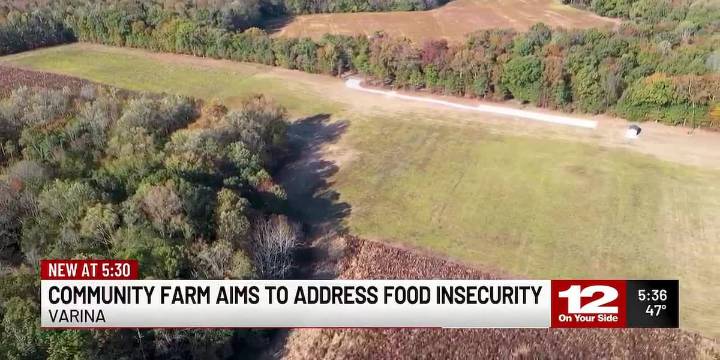 Community farm aims to address food insecurity