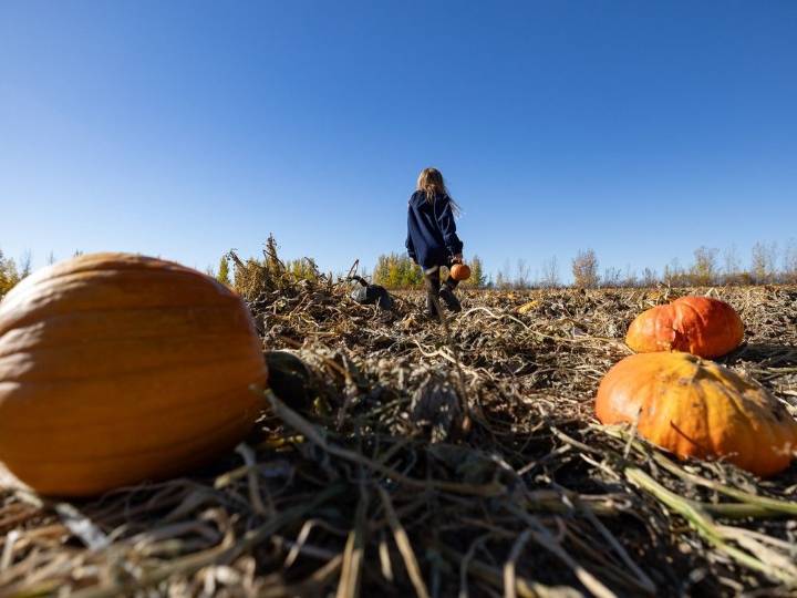 A community in photos: Looking back at October 2025 in Saskatoon
