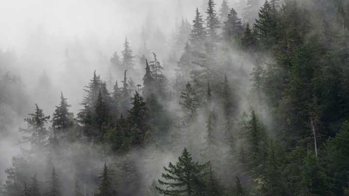 Atmospheric river to bring Sierra snow, valley rain