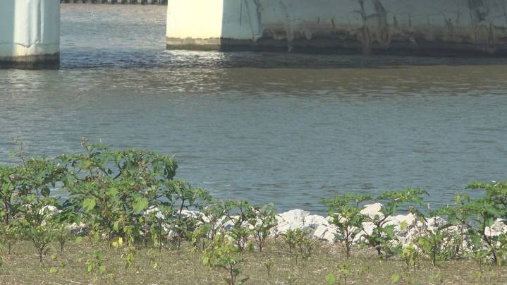 Lake Erie shows water quality gains and thriving fishery despite algae challenges