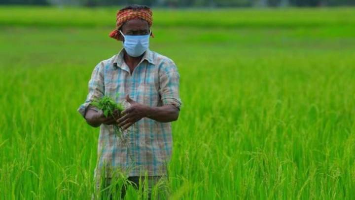 Telangana to hold local body polls in 3 phases; notification soon