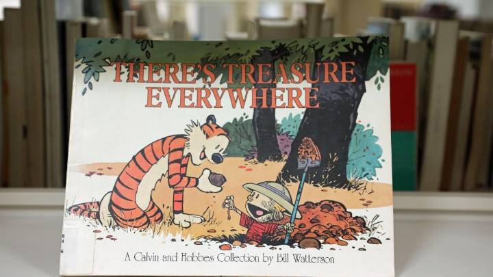 40 years ago, Calvin and Hobbes' raucous adventures burst onto the comics page