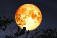 See the Full Beaver Supermoon Shine Bright This Week