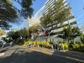 Cañeros se reúnen con Sader para definir plan de rescate por crisis azucarera