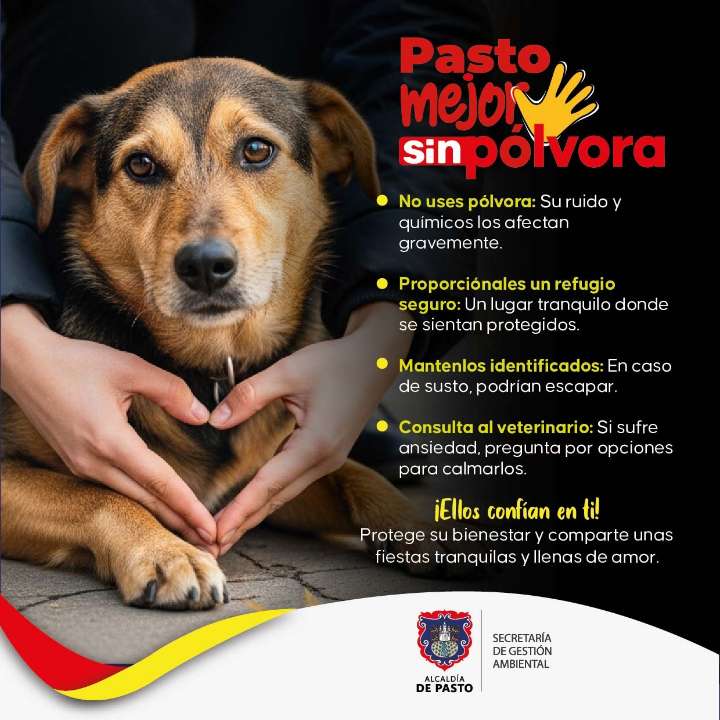 Pasto hace llamado a proteger a los perritos: evitar la pólvora es un acto de amor y respeto