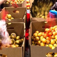 Trump says no food stamps until shutdown ends, potentially defying court