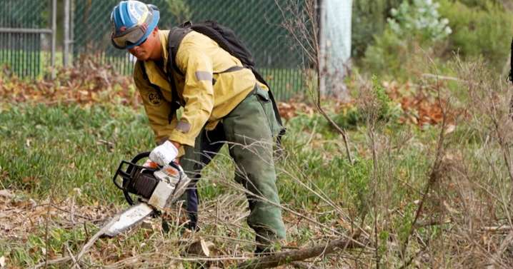 Vegetation management project in Los Osos aims to improve ecosystem and provide fire protection