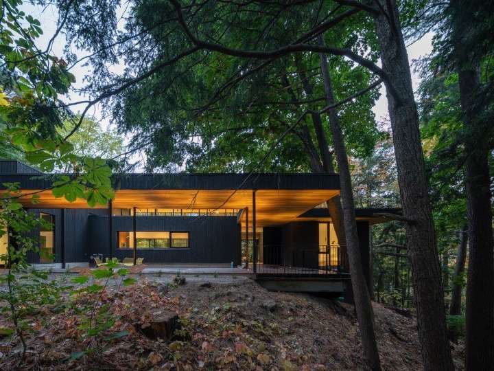 A mid-century refuge, heavy on the modern 