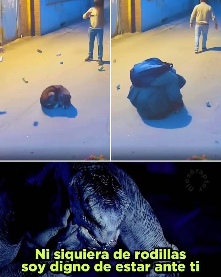 LO PROTEGIÓ CON SU PROPIO CUERPO 