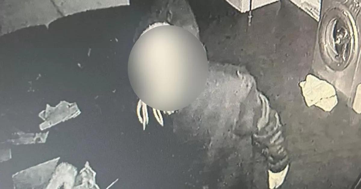 City hair salon ransacked in £2k raid as 'electrical items and food swiped'