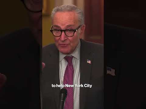 Sen. Chuck Schumer won't reveal if he voted for Zohran Mamdani #shorts