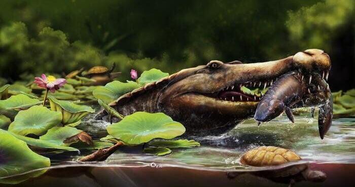 Fossil find proves crocodiles originated from this part of the world