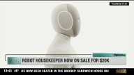 Robot housekeeper now on sale for $20k