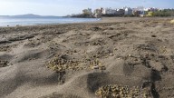 Persisten los efectos de la contaminación marina en Gran Canaria: Rocas Negras sigue cerrada y apuntan a vertidos de piscifactorías