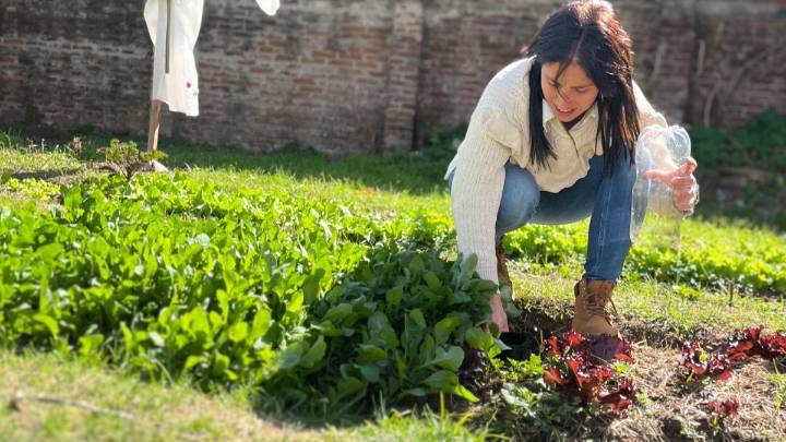 Una huerta que transforma: el Policlínico de barrio Centenario impulsa hábitos saludables