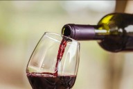 Desregulación vitivinícola: eliminaron 973 normas