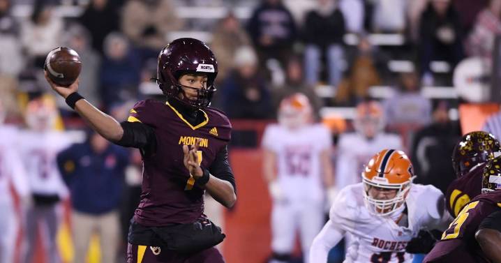 Montini races past Rochester in Class 4A final for eighth state title, completes undefeated season