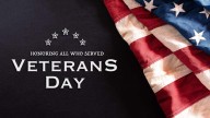 Veterans Day: Honoring the Few Who Served for the Many