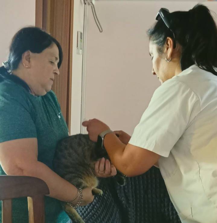 Rabia | Vacunaron a más de medio centenar de mascotas