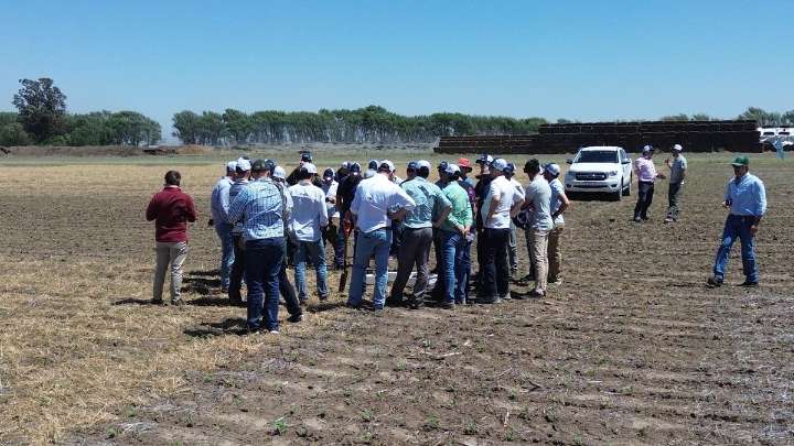 La agricultura regenerativa se hace fuerte en el interior productivo