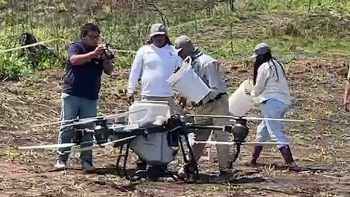 Tarapoto: Lanzan campaña 2025 de restauración de bosques amazónicos afectados por incendios forestales