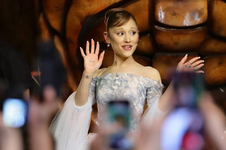 Man charged for grabbing ‘Wicked’ star during premiere