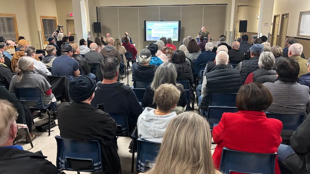 Green Party leader pledges to table new bill that would make all land investigations public