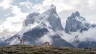 Emiten alerta meteorológica por lluvias en Torres del Paine: Se esperan hasta 38 mm de precipitaciones en zonas de Magallanes