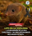 LUTO EN LA ZOOLOGIA