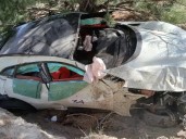 Volcó la Ferrari en la ruta de los Siete Lagos: participaba de un exhibición, despistó a más de 200 km/hora y terminó bajo un árbol