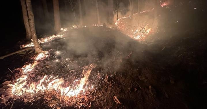 UPDATE: Big Mountain Wildfire Grows to 200 Acres in Pendleton County; Crews Working Containment