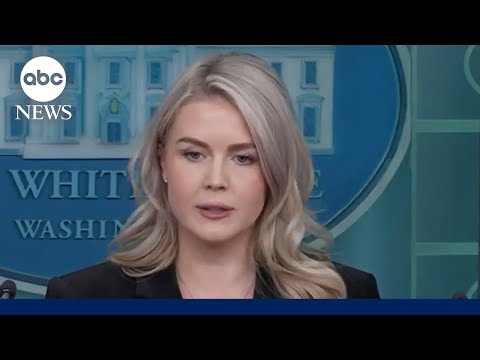 Karoline Leavitt defends Trump calling Democrats 'traitors'