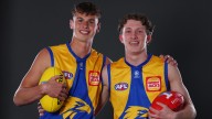analysis analysis AFL DRAFT 
                                            Comments
                                          
                                            Premium
                   