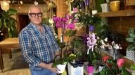 José Antonio dice adiós a su floristería de Valladolid con 30 años de historia: "La traspaso, no quiero que desaparezca"