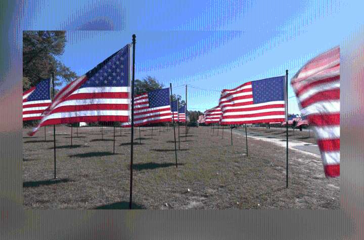 Veterans Day events held across Tyler to honor those who served