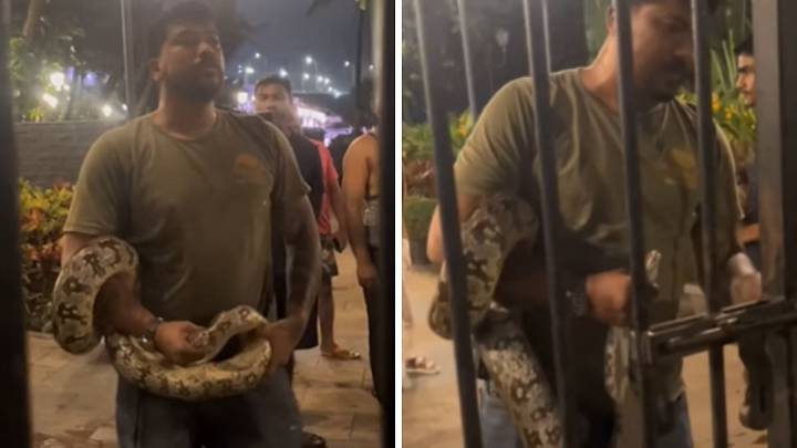 Mumbai: 6-Foot Indian Rock Python Rescued Near Bandra Fort, Released Safely into Green Zone