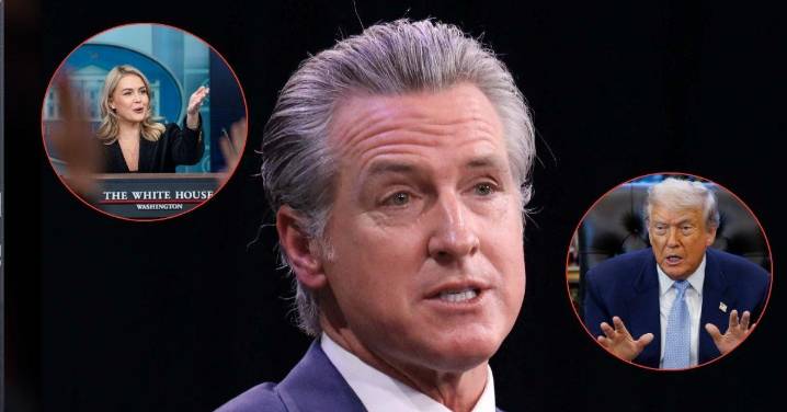 Gavin Newsom Slams Karoline Leavitt For Defending Trump's Piggy Insult